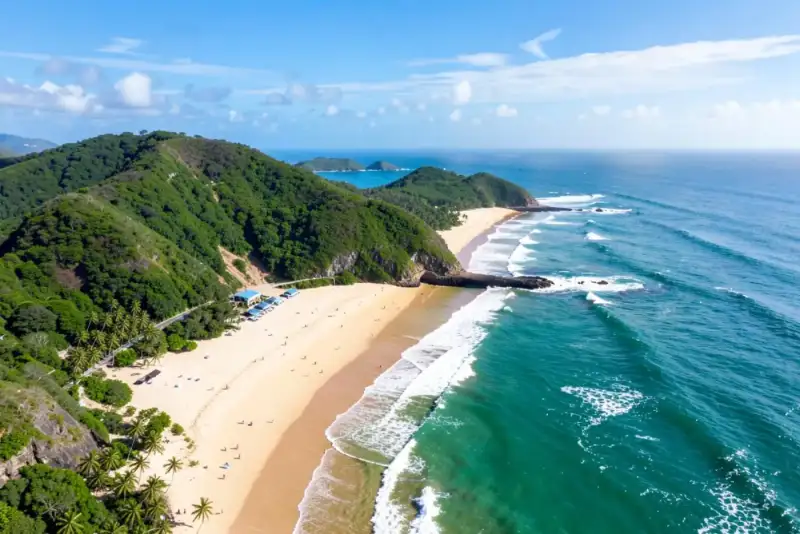Praia tropical brasileira com coqueiros e ondas pequenas quebrando ao amanhecer