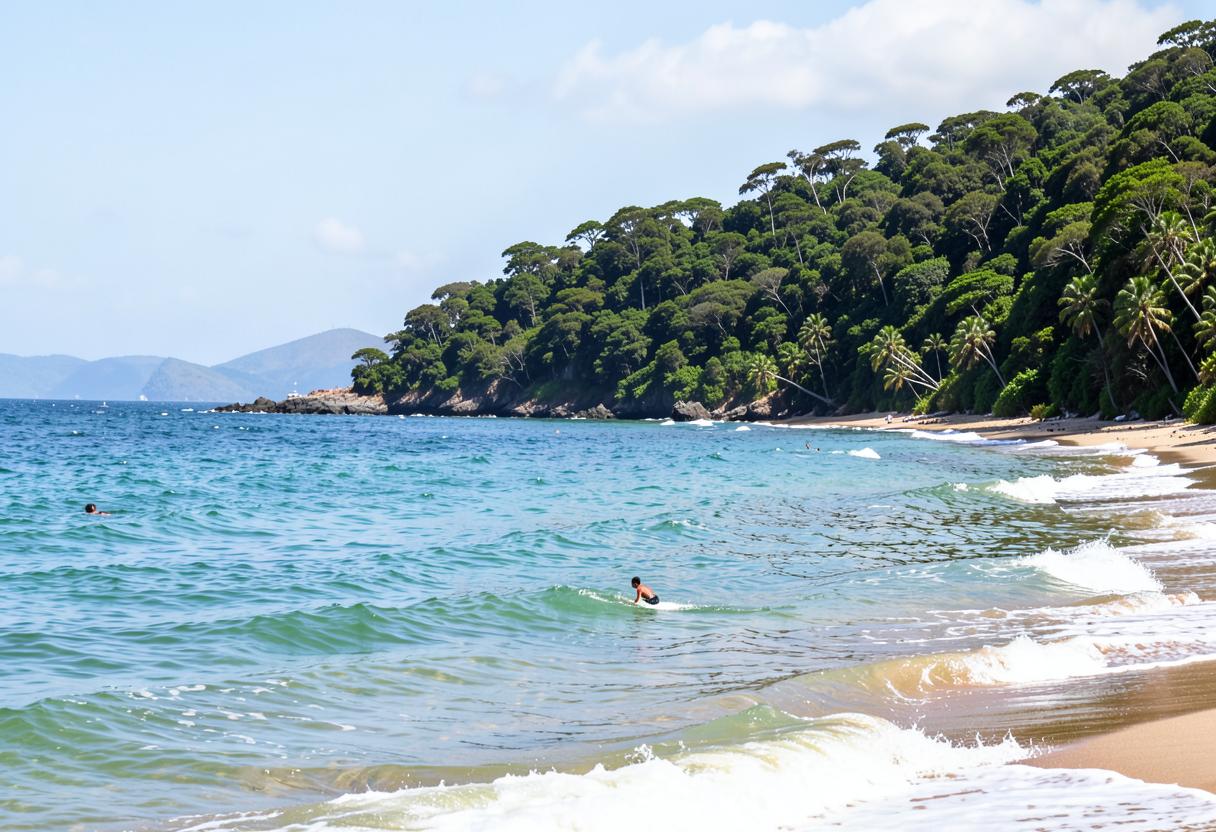 Praia de Ilhabela com mata atlântica descendo até o mar e surfista entrando na água